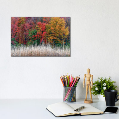 Jersey Colors by David Gardiner - Wrapped Canvas Gallery-Wrapped Canvas Giclée