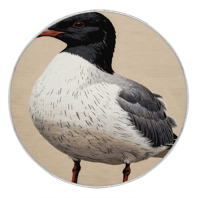 Washable Black headed Gull Birds Area Rug, Round 8'