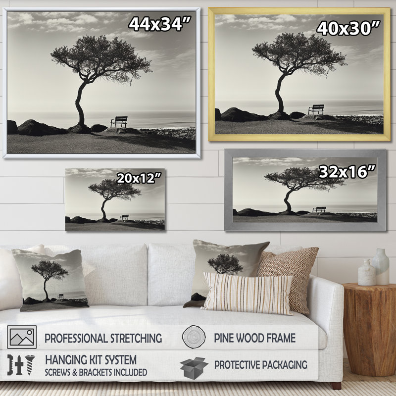 Arbre de solitude noir et blanc avec horizon côtier, Cadre flottant blanc, H 34 po x l 44 po x P 1,5 po