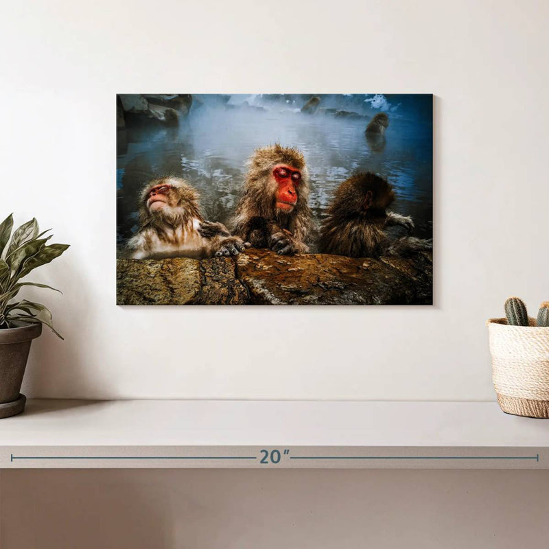 Brampt Japanese Macaque Monkeys, 8" H x 12" W