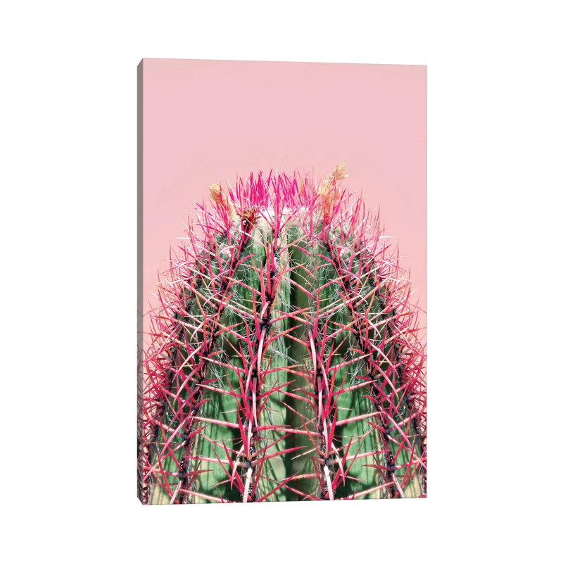 Cactus on Pink 1 Piece Wrapped Canvas Wall Art, 66.04 cm H x 45.72 cm W x 3.175 cm D