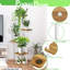 Abiola Plant Stand-207969005