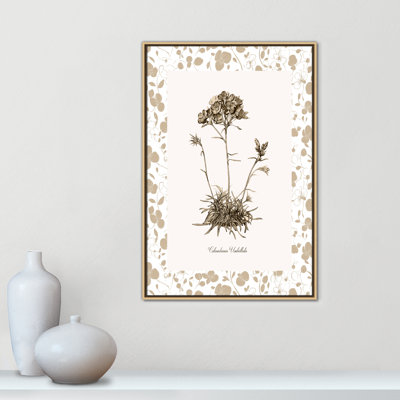 Neutral Imperial IV Print by Kelly Donovan