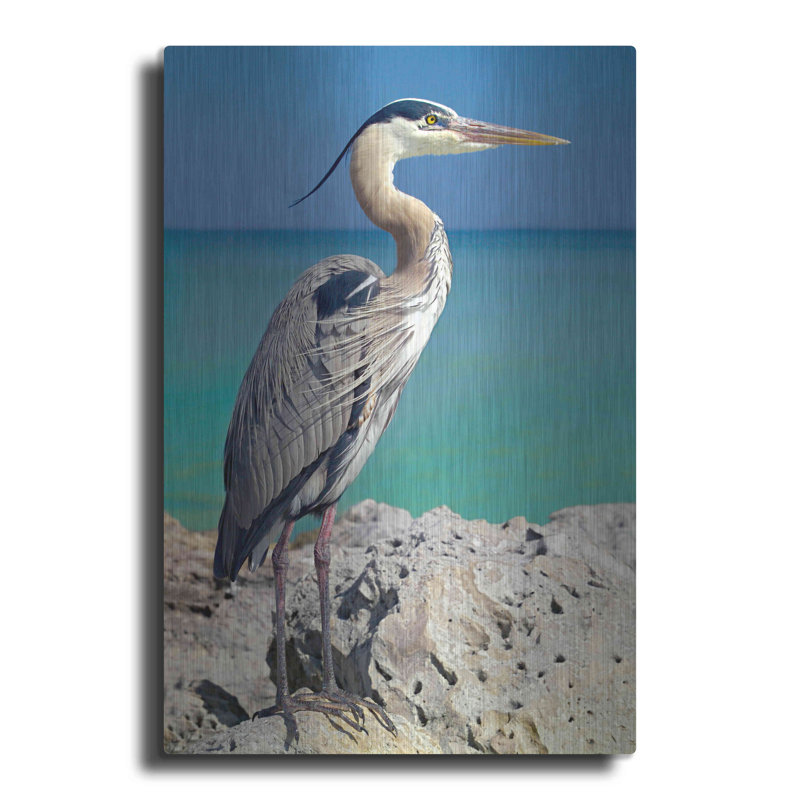 «Blue Heron», impression sans cadre sur métal, H 16 po x l 12 po x P 0,13 po