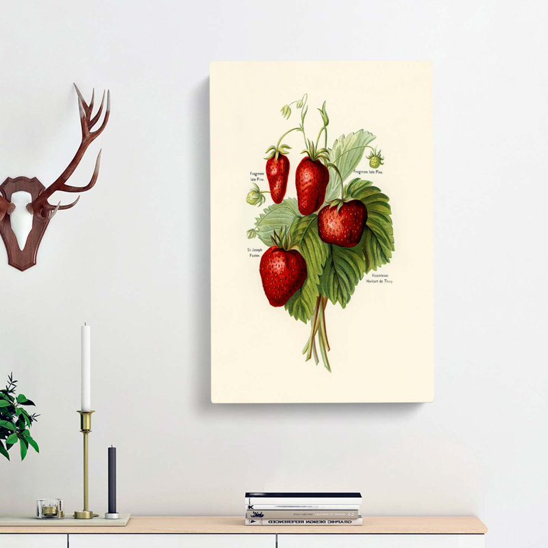 Vintage Illustration Of Strawberries - Wrapped Canvas Painting, 50cm H x 35cm W x 3cm D