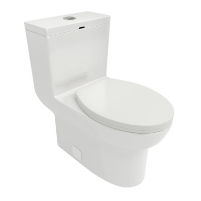 Modern Ceramic Toilet - Dual Flush, Soft Closing Seat, Advanced Design Flush 29.76 In Product Height