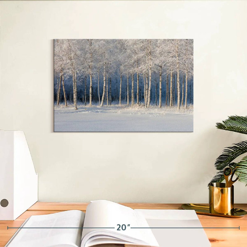 Bouleaux Alvord en hiver, H 8 po x l 12 po