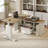 Ashantey 60" L-Shaped Executive Electric Standing Desk with Fluted Roman Legs, Privacy Modesty Panel and Wire-125361231