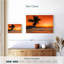 Gillard Beach Sunrise Palm-106310103