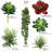 Artificial Succulent (Set of 6) 