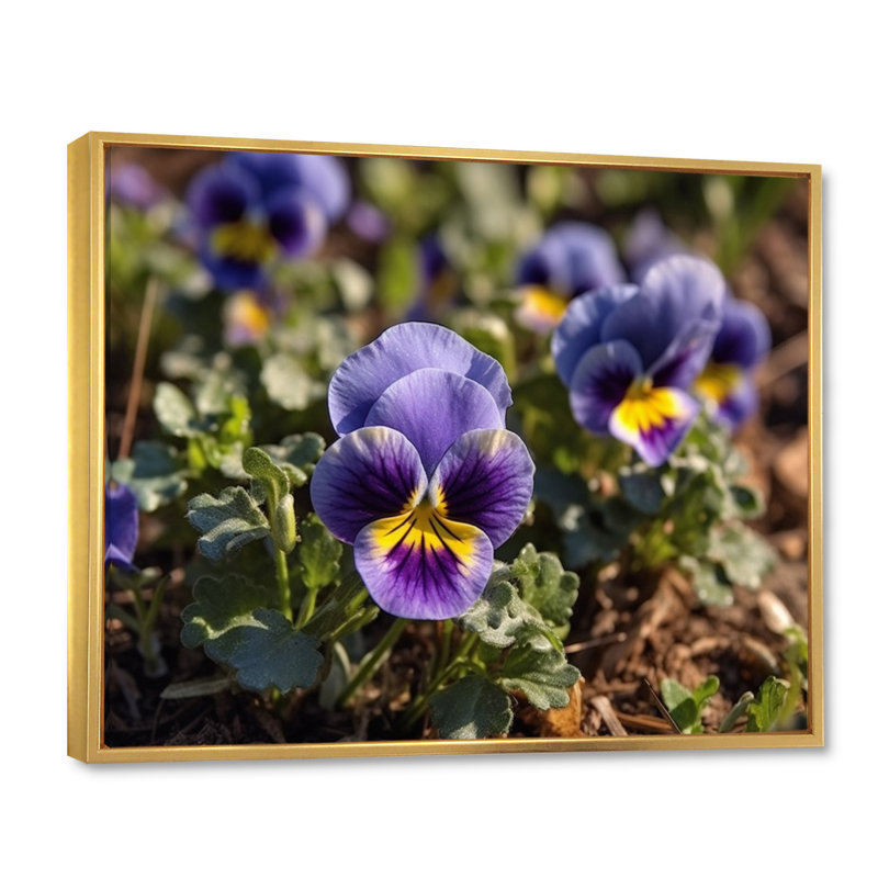 «Purple Yellow Pansies Harmony I» sur toile, Cadre flottant doré, 34" H x 44" W