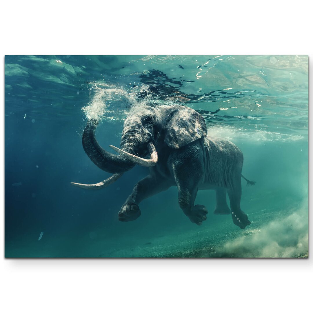 Leinwandbild Schwimmender Elefant