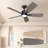 42'' Ceiling Fan With Led Lights-2026293068