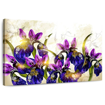 Blooming Iris Flowers