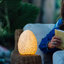 La lampe marguerite-125499958