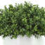 Faux Boxwood Plant in Ceramic Pot-2113066378