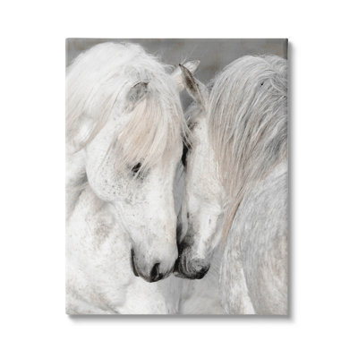 " Hugging Horse Duo Wildlife " by Danita Delimont