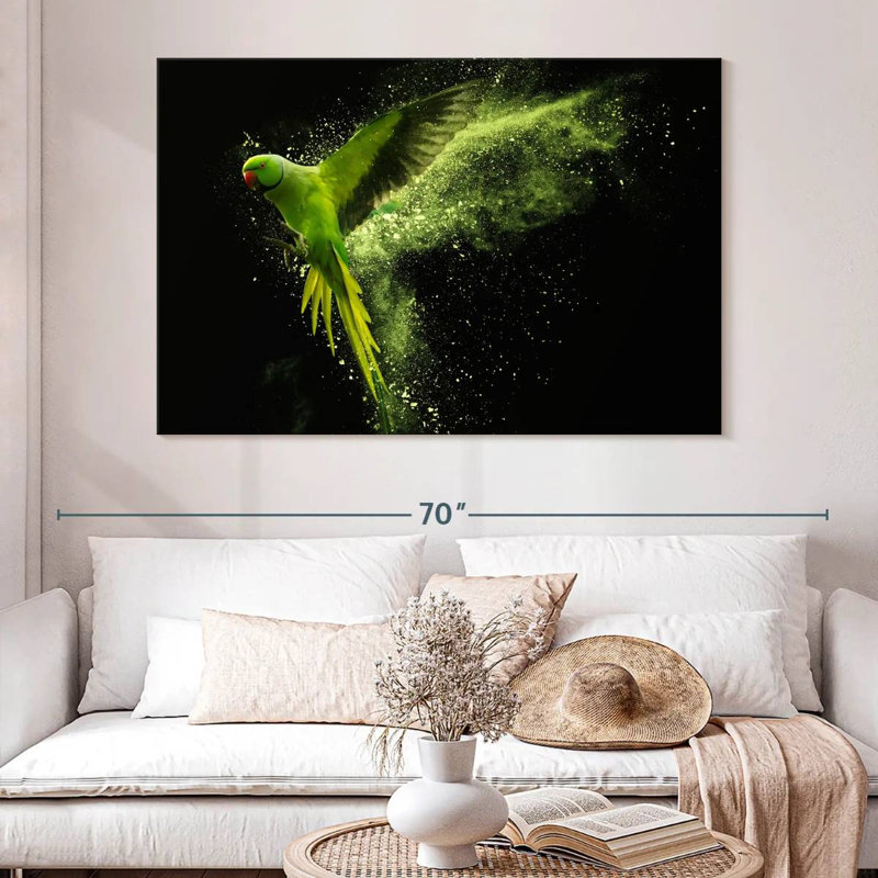 Brampt Alexandrine Parakeet, 34" H x 51" W