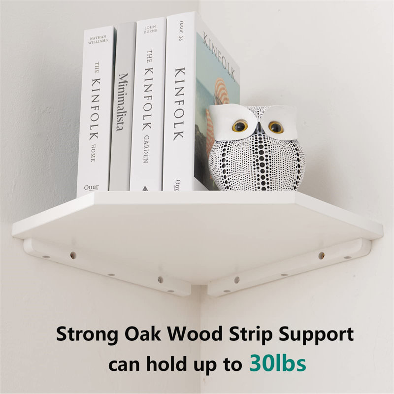 Bordie 2 Piece Floating Shelf