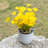 Ceyla Pot Planter