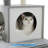 Depuy 61.8 " H Cat Scratching Post