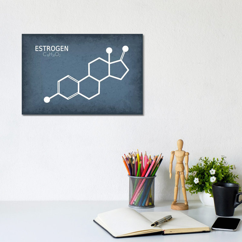 Estrogen Molecule - Wrapped Canvas Print, 20.32 cm H x 30.48 cm W