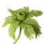 Desert Palm Tree Candlestick-1242853563-1242853565