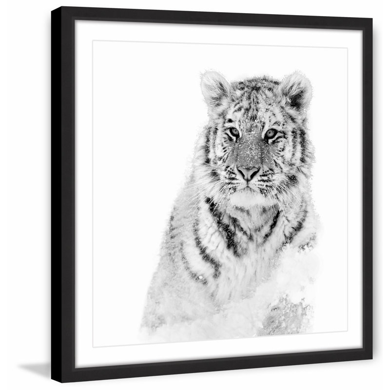 Single Picture Frame Print, 41cm H x 41cm W x 3.81cm D