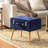 Coleridge Accent Stool-673157655