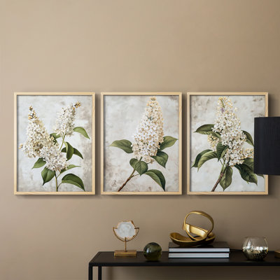 Floral Study  Series  LXXXVII  -Set Of 3 Framed Giclee Prints -Ready to Hang