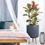 Concrete Effect Cylinder Round Planter on Hardwood Legs, Round Indoor Plant Pot Stand for Indoor Plants, Indoor Flower Pot with Ribbed Pattern-529439268-529439275