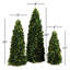 High Cone Topiary