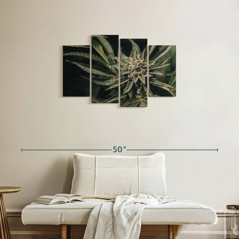 Plante de marijuana Senne, H 22 po x l 36 po