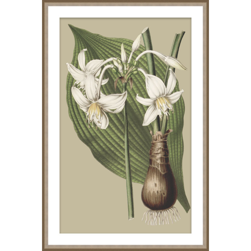 Botanical Jungle 2 Print, 45.75" H x 29.75" W