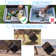 32Qt Car Freezer Portable Refrigerator with APP Control and 6'' Off-road wheels, 12V,45W Cooler Freezer, No Battery