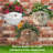 Muggly's The Face Mr. Sun Shine Tree & Patio Statue Planter-1651580887