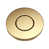 Brushed Brass