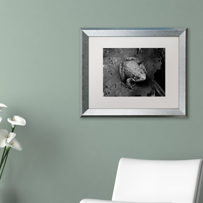 Joden Northern Green Frog' by Jason Shaffer Framed Photographic Print