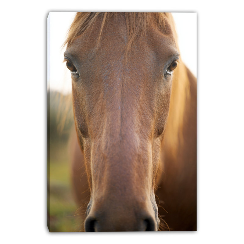 «Golden Gaze», art mural sur toile tendue, L 16 po x H 24 po x P 1,5 po