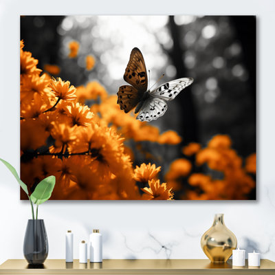 Villagio, papillon gris-orange flottant grâce sur toile