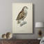Chouettes françaises I - galerie sur mesure-117858722
