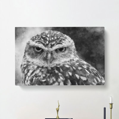 Little Owl - Wrapped Canvas Print