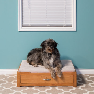 Canapé pour chien Bethune