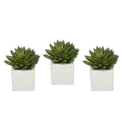 6'' Faux Echeveria (succulents) Succulent in Ceramic Decorative Vase