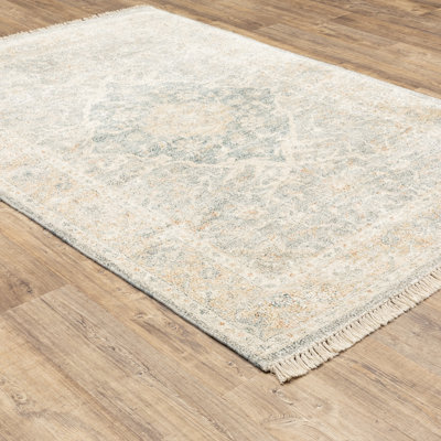 Hadden Oriental Indoor Rug