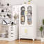 Rectangular Glass and Metal Lockable Iron Cabinet-1407127655