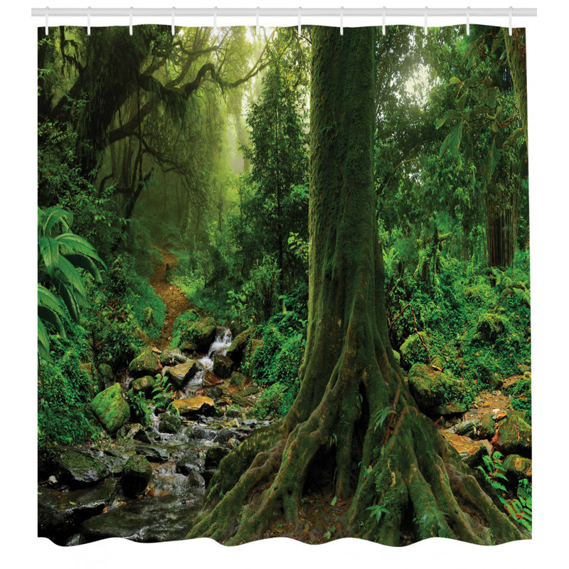 Rideau de douche simple rain forest décoration, H 70 po x l 69 po