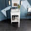 Meuble-lavabo de style transitionnel gris foncé 24 po avec dessus en porcelaine Imanii-8615515