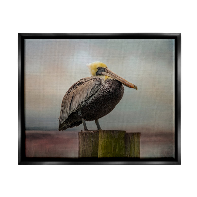 Art mural sur toile Pelican, Cadre flottant noir de jais, H 17 po x l 21 po x P 1,7 po