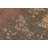 Tierna Wool Oriental Indoor Rug